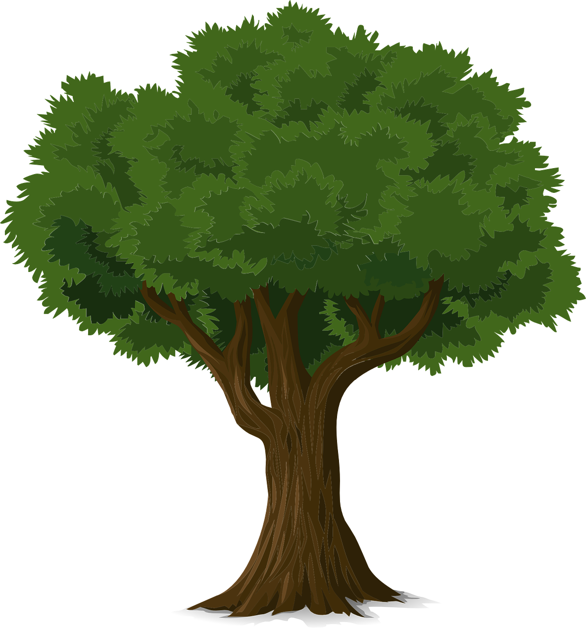 Sky Crew Tree Service